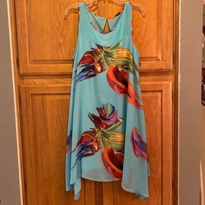 Beautiful Floral Summer Dress, Signature by Robbie Bee. Sheer w/Full Lining.